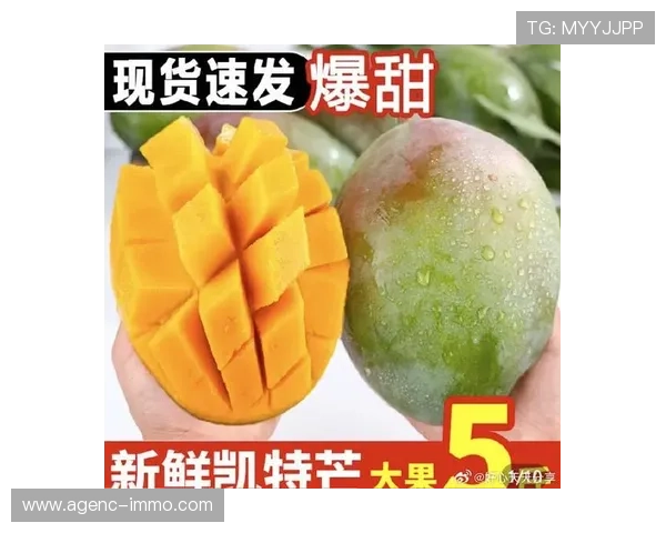 芒果体育奇异果体育如何助力体育赛事的推广与品牌合作